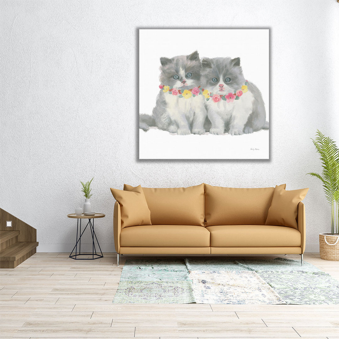 Cutie Kitties VIII - Canvas Print Wall Art