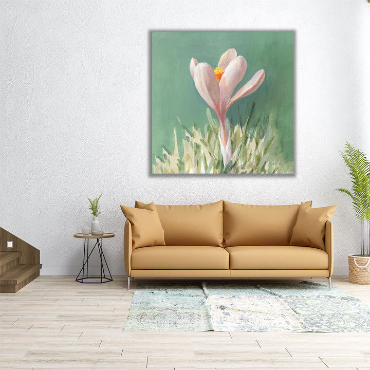 Soft Crocus - Canvas Print Wall Art