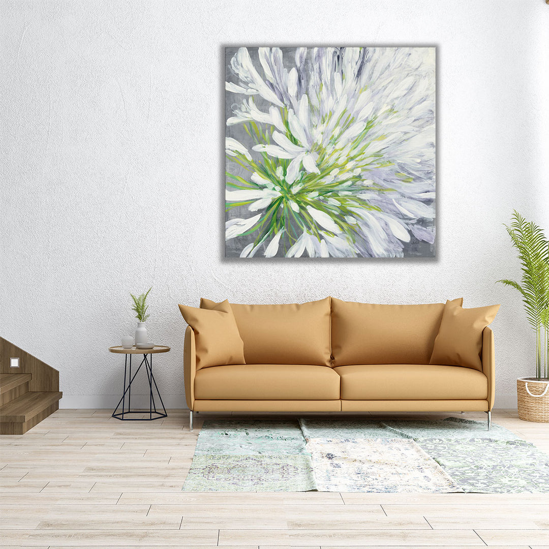 Cleome Splash II - Canvas Print Wall Art