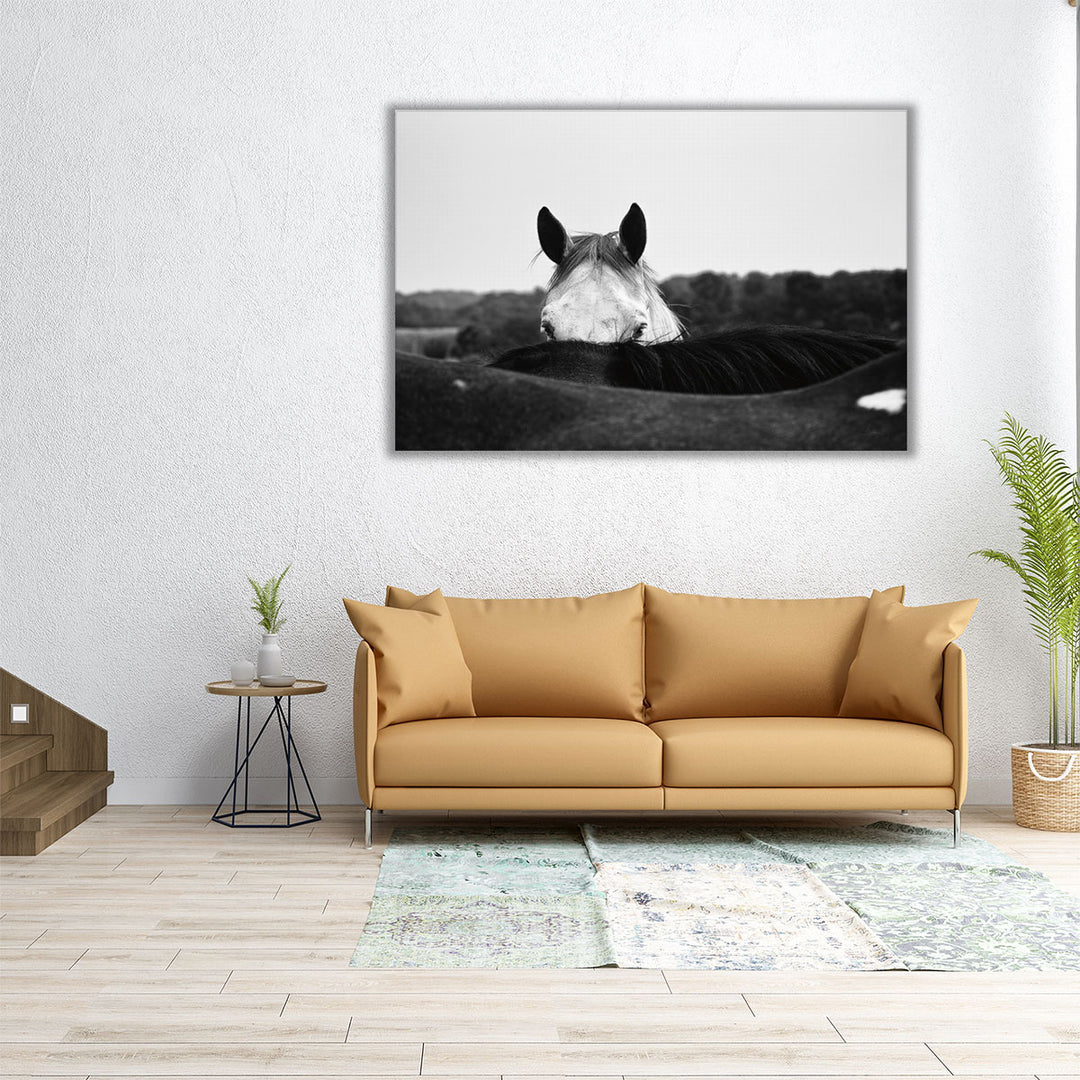 Flirt - Canvas Print Wall Art