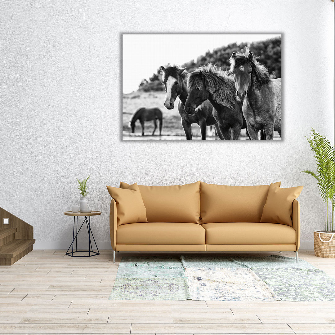 Horses Three - Canvas Print Wall Art