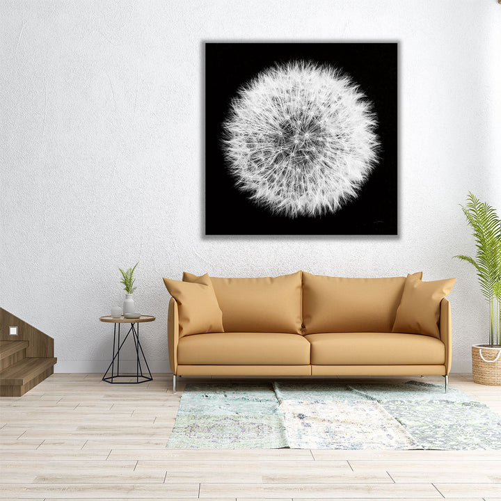 Dandelion on Black I - Canvas Print Wall Art