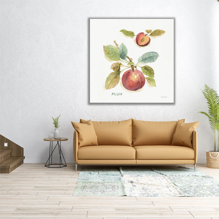 Orchard Bloom IV - Canvas Print Wall Art