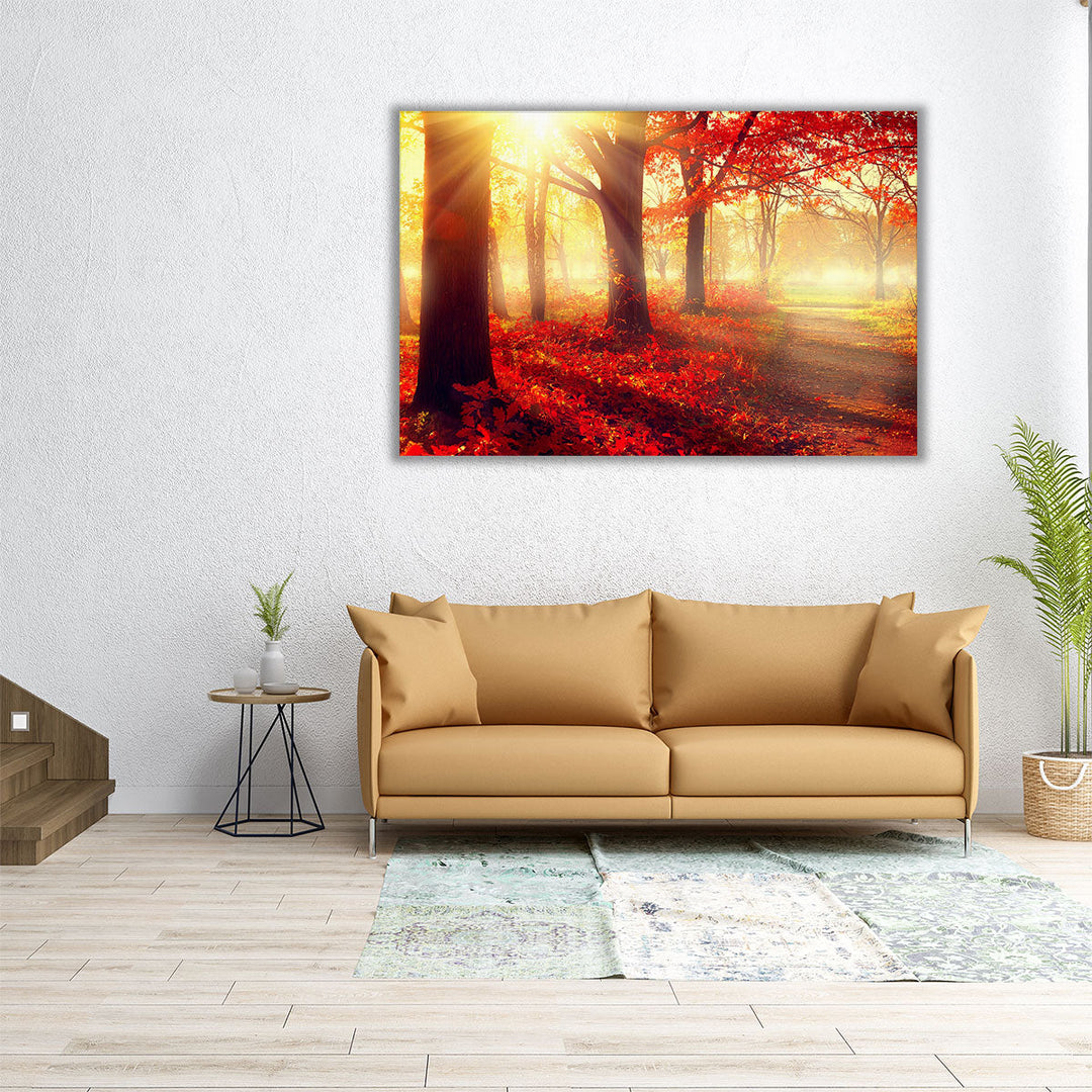 Autumn Mist Grove - Canvas Print Wall Art