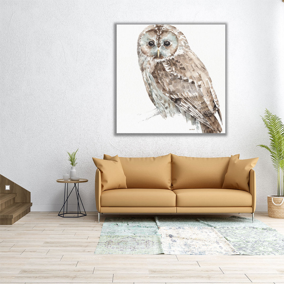 Forest Friends III - Canvas Print Wall Art