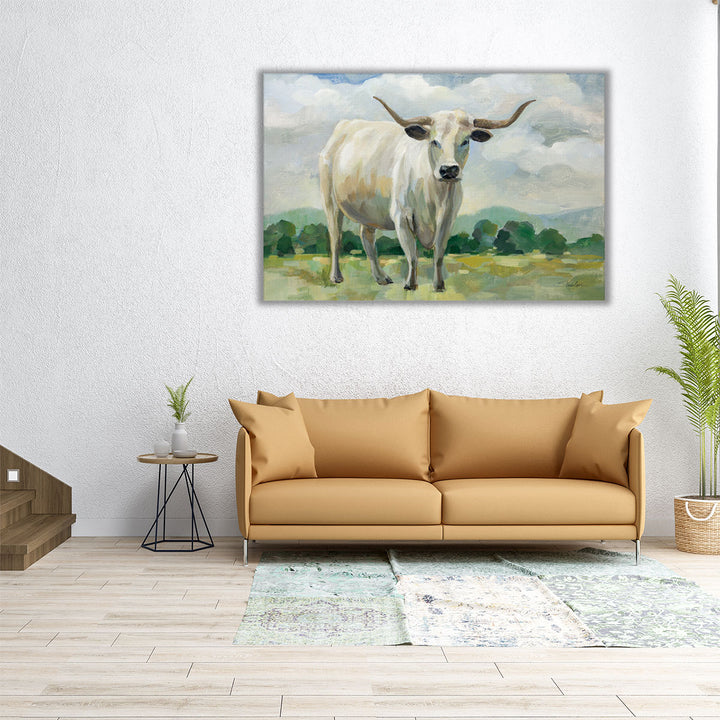 White Longhorn Cow - Canvas Print Wall Art