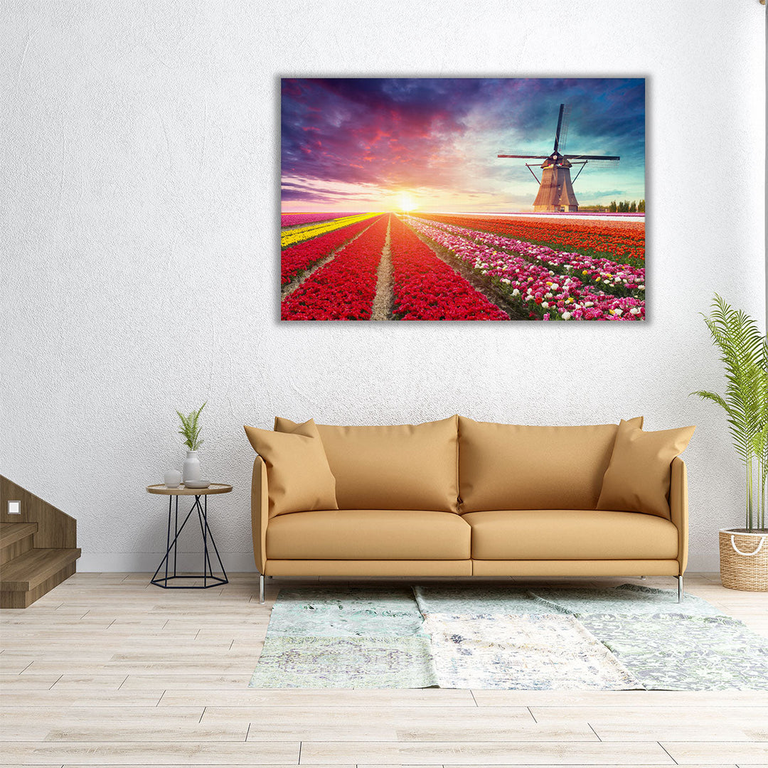 Holland Sunrise Flourish - Canvas Print Wall Art
