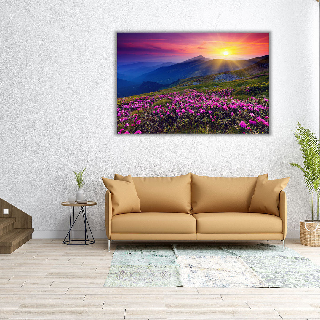 Pink Rhododendron Flowers Mountain, Sunrise - Canvas Print Wall Art