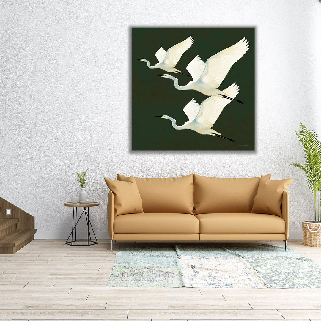 Egrets Alighting II - Canvas Print Wall Art