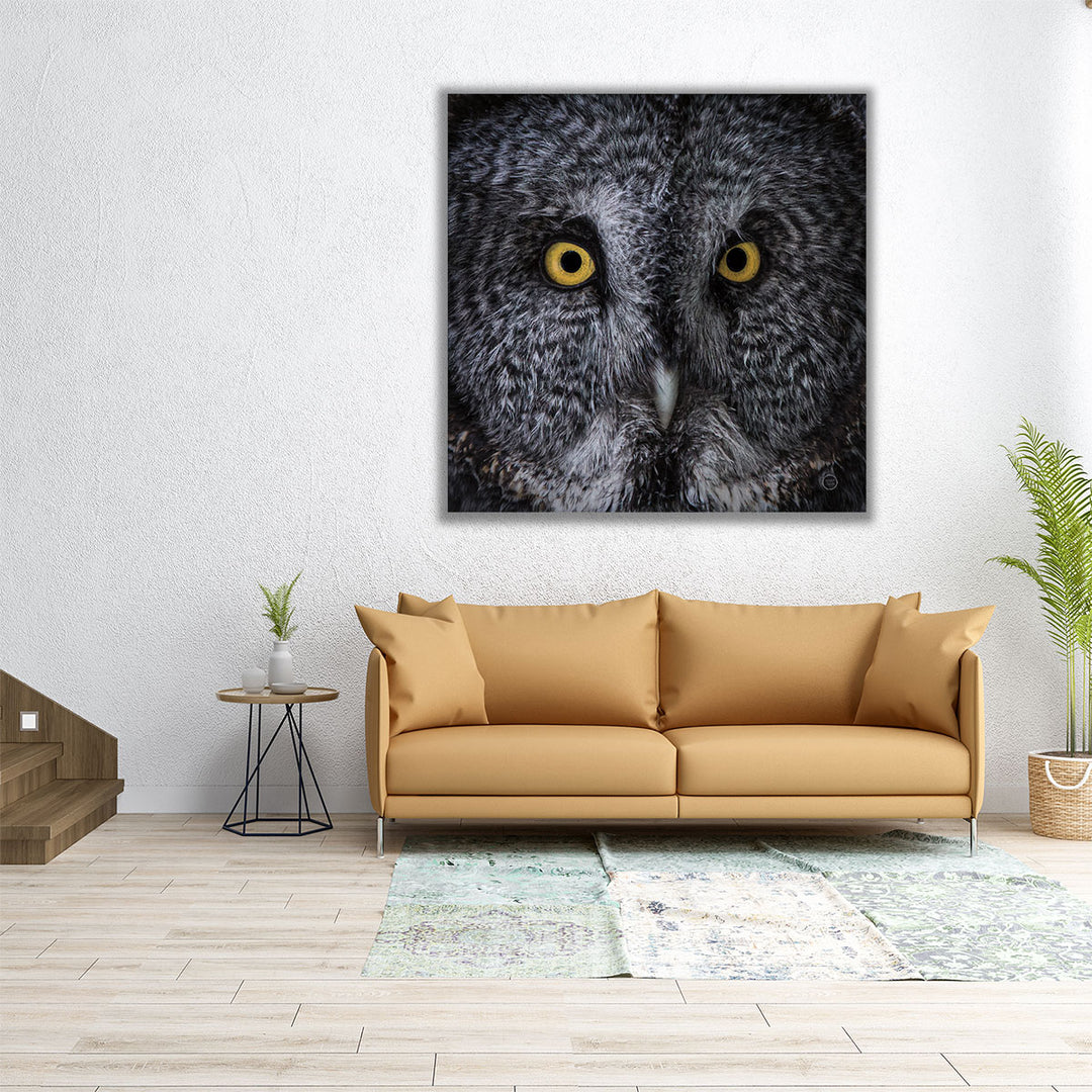 Great Grey Owl- Canvas Print Wall Art