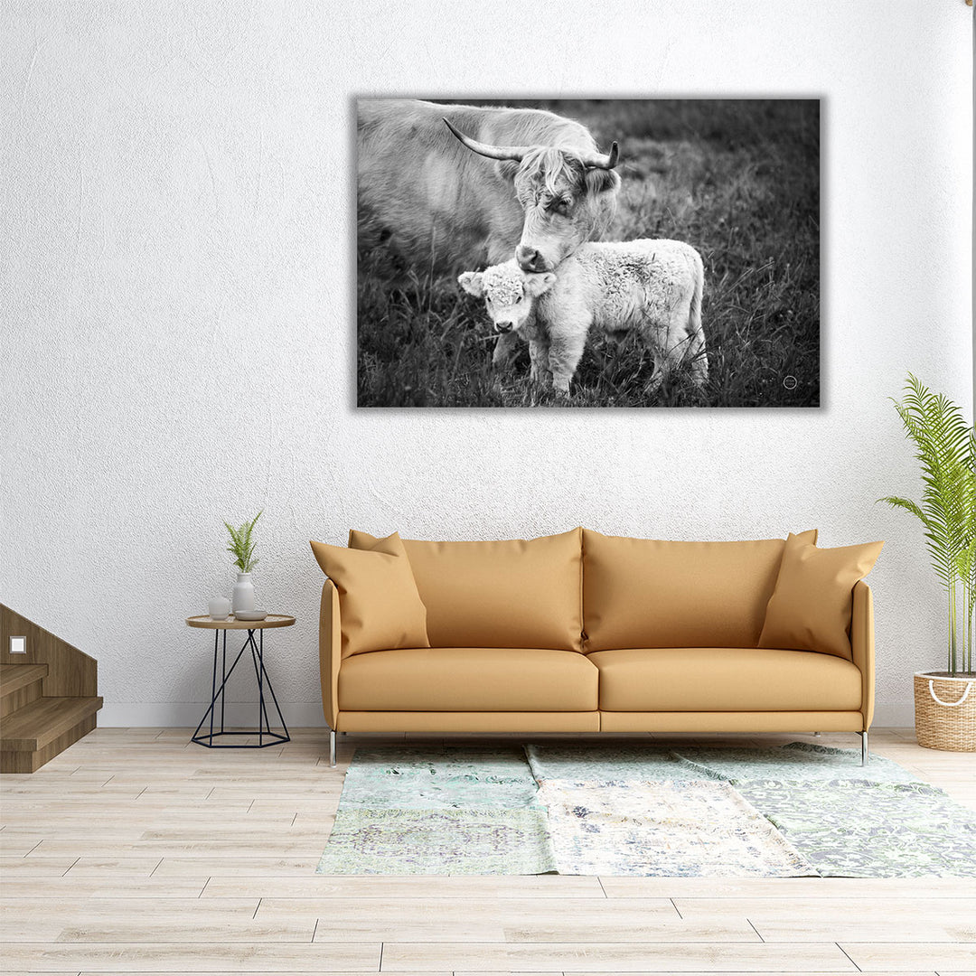 Cow Care Black and White - Canvas Print Wall Art