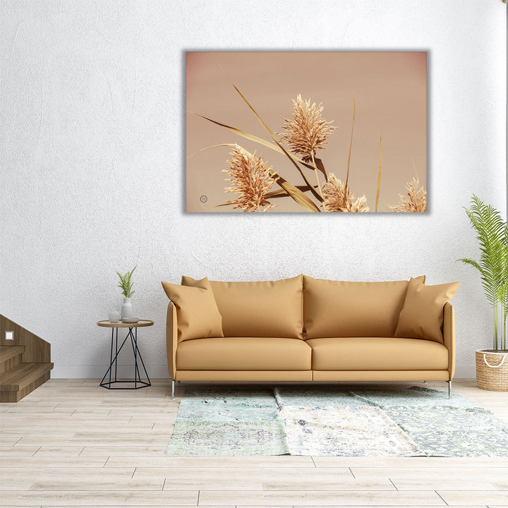 Noon Grasses III - Canvas Print Wall Art