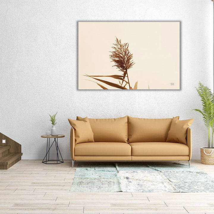 Summer Reeds I - Canvas Print Wall Art