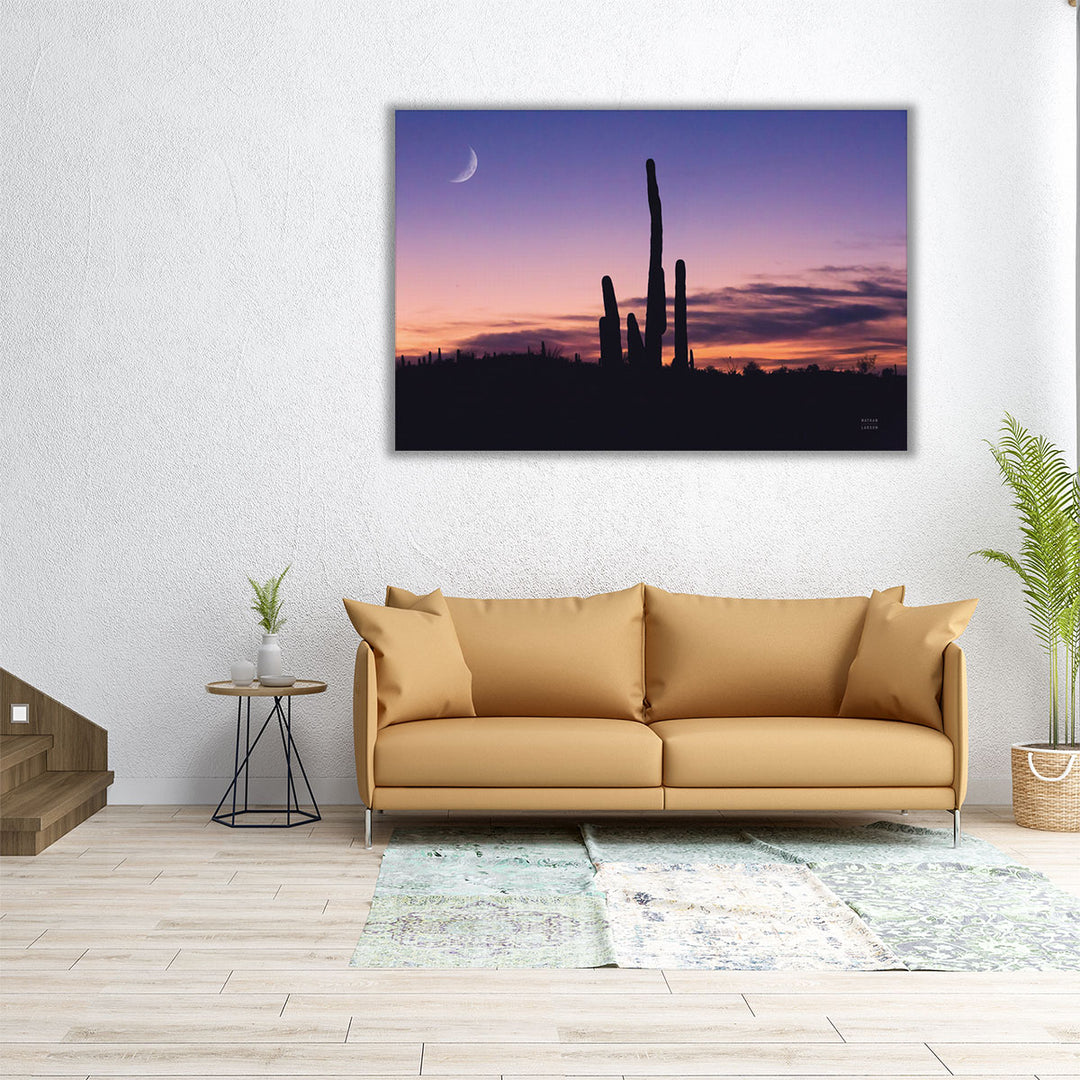 Desert Moons - Canvas Print Wall Art