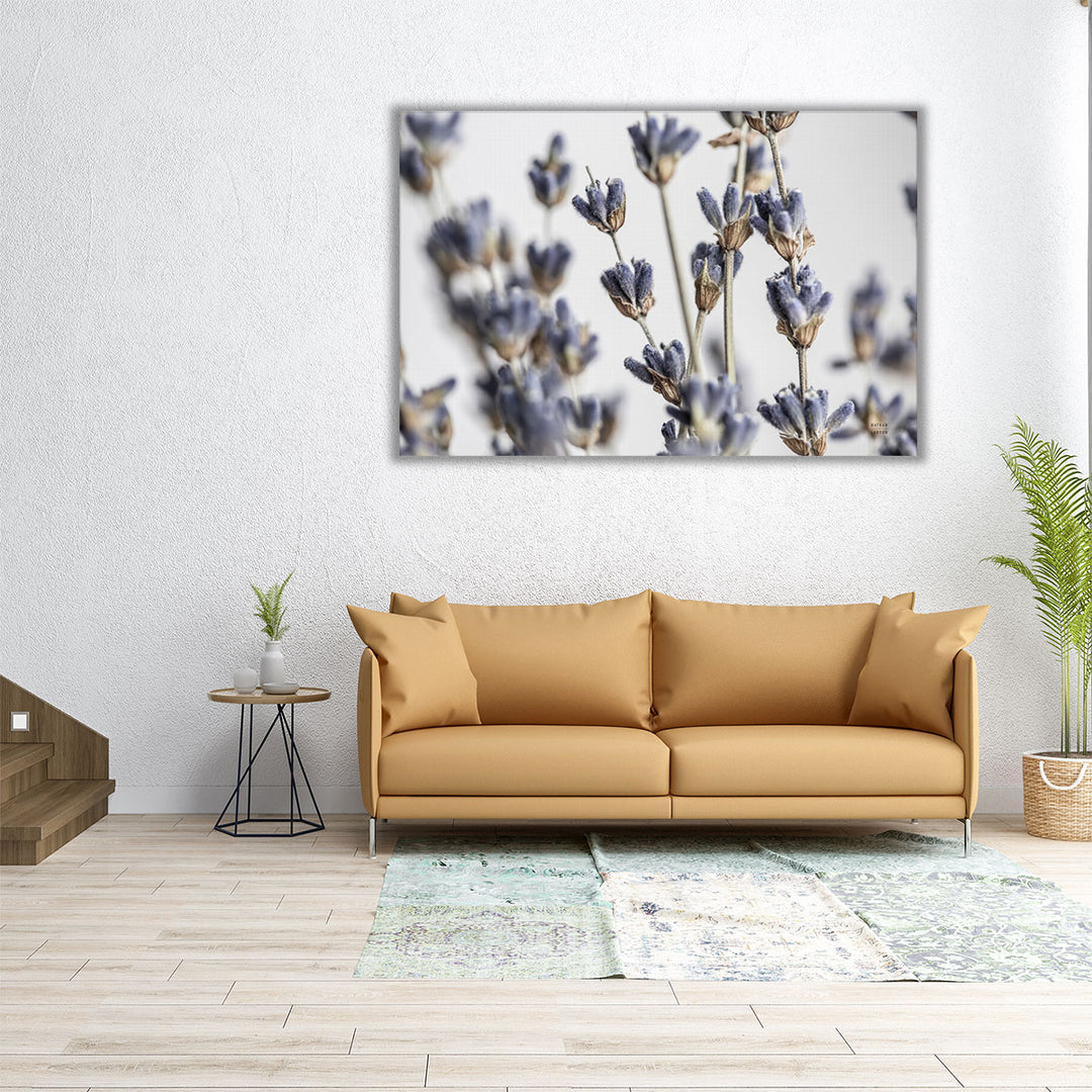 Lavender Bouquet - Canvas Print Wall Art