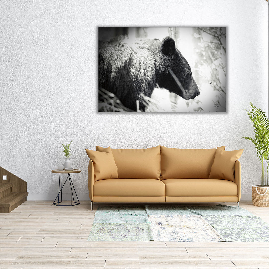 Bear Emerging Black and White - Canvas Print Wall Art