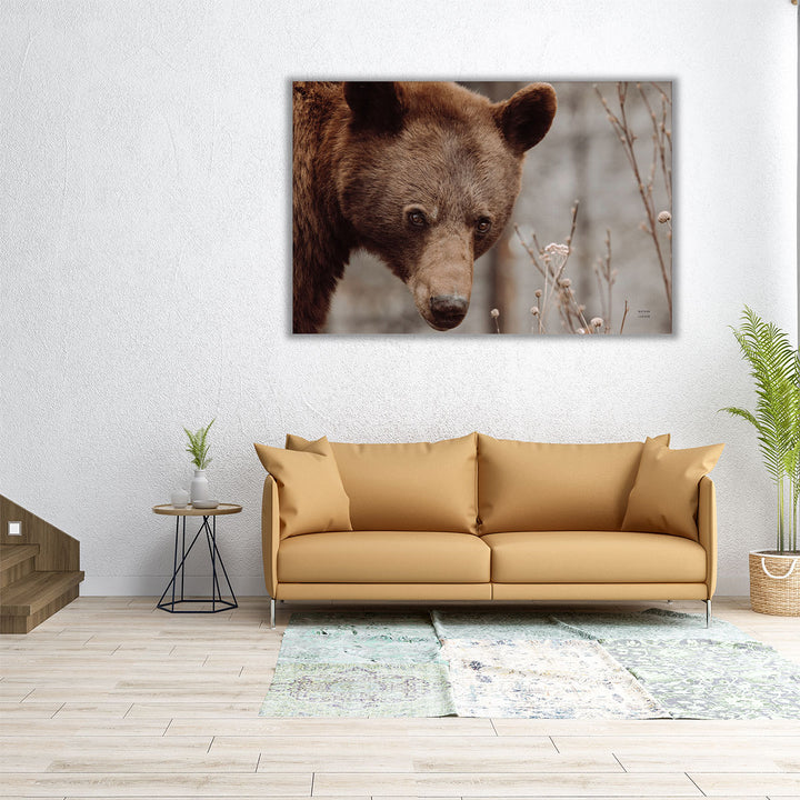 Bear Profile II - Canvas Print Wall Art