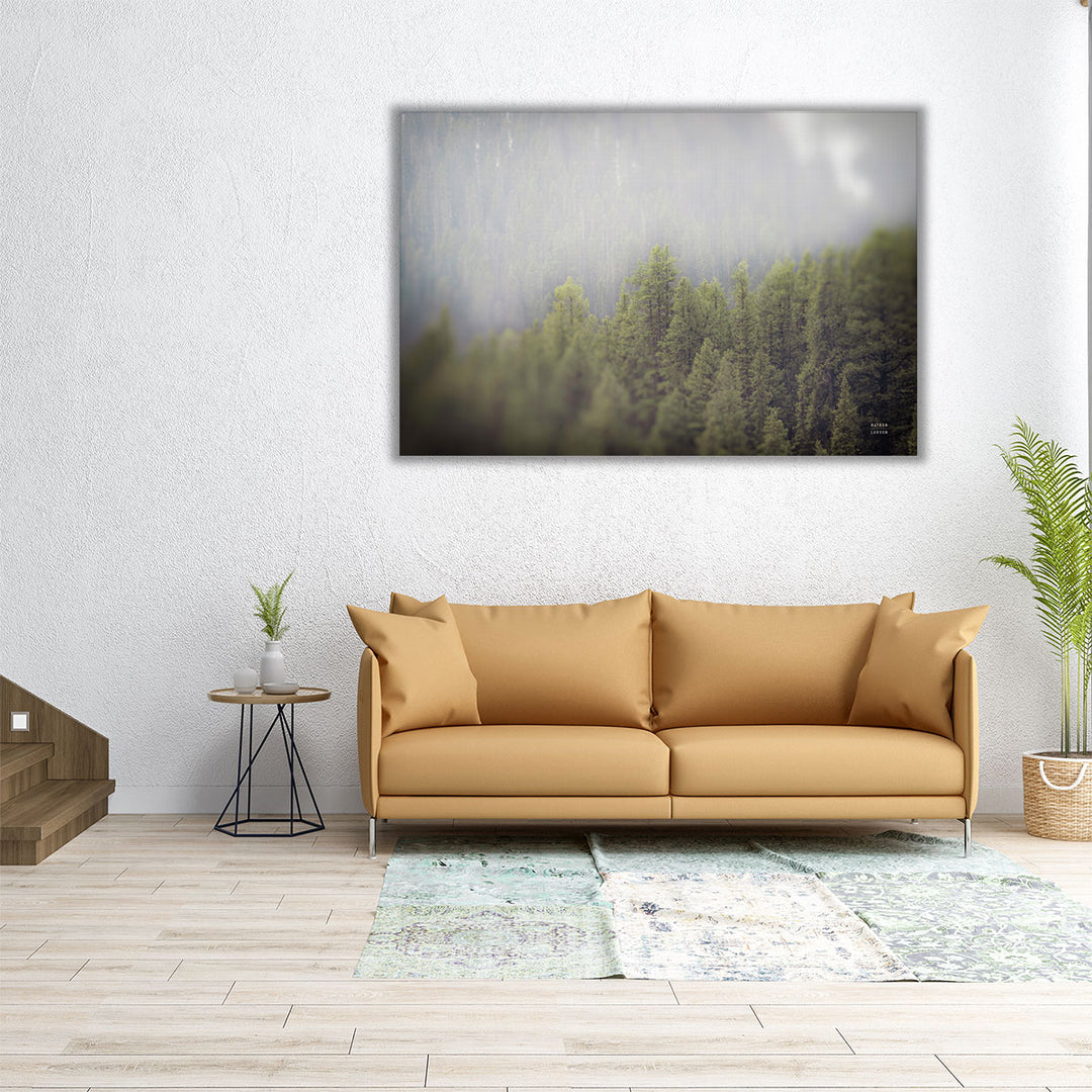 Northern Forests - Canvas Print Wall Art