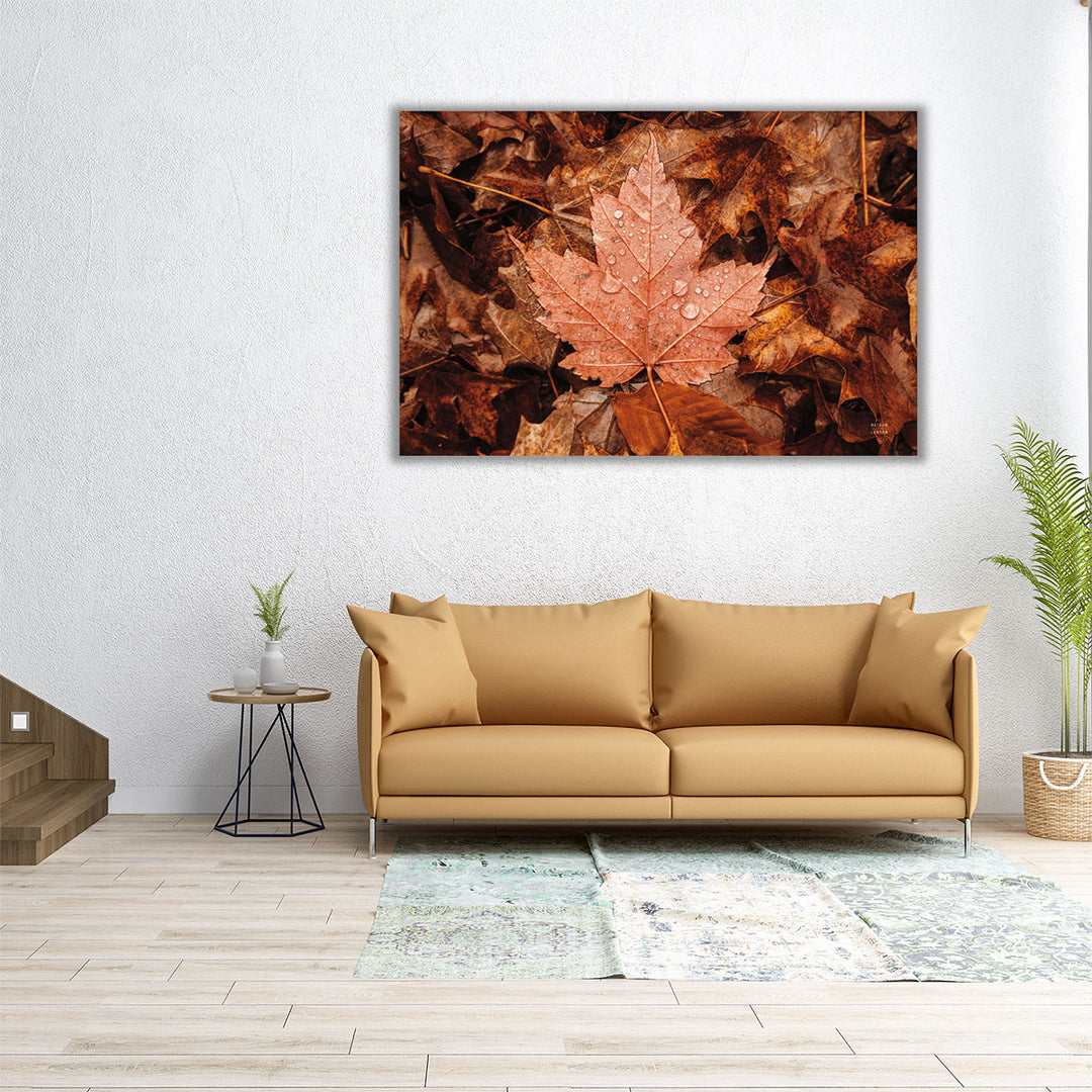 Fall Rains I - Canvas Print Wall Art