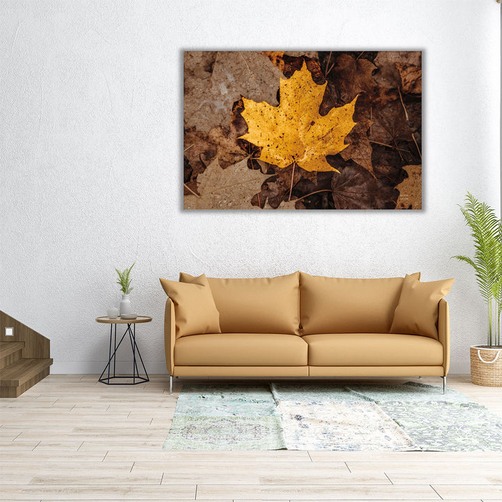 Fall Rains II - Canvas Print Wall Art