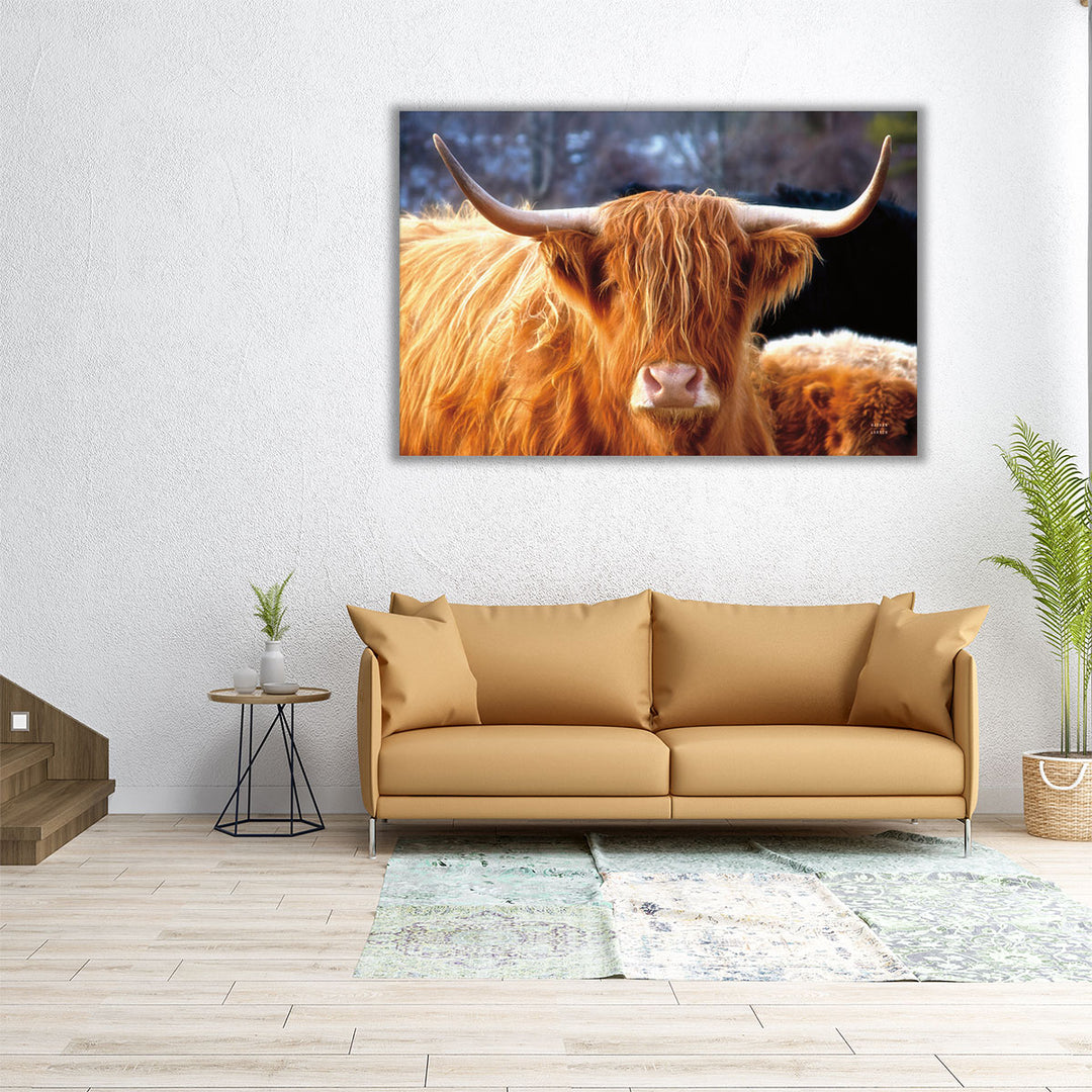 Highland Cow Sunshine - Canvas Print Wall Art