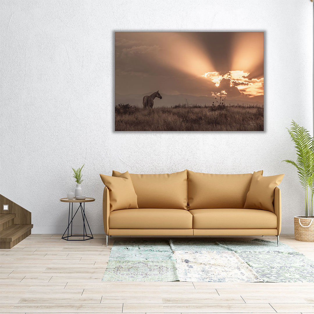 Faded Sunset - Canvas Print Wall Art