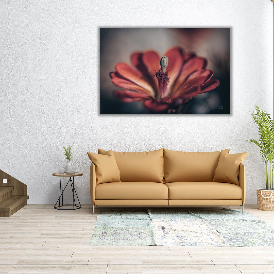 Elevation Bloom - Canvas Print Wall Art