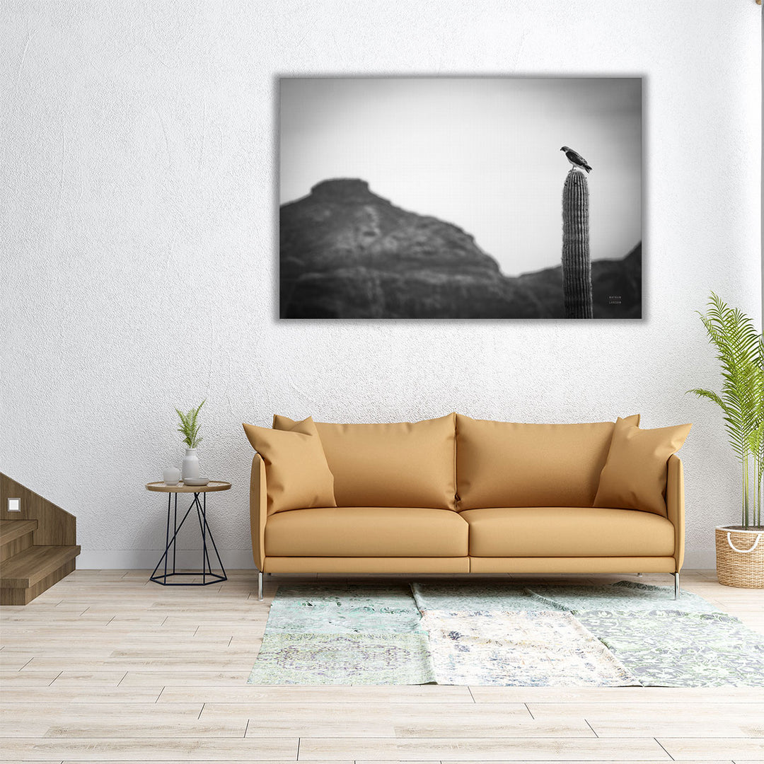 Desert Hunter Black and White - Canvas Print Wall Art