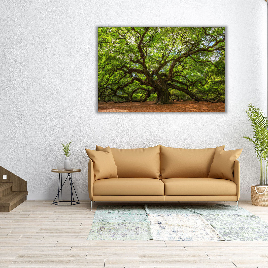 Angle Oak Tree in Johns Island, South Carolina - Canvas Print Wall Art