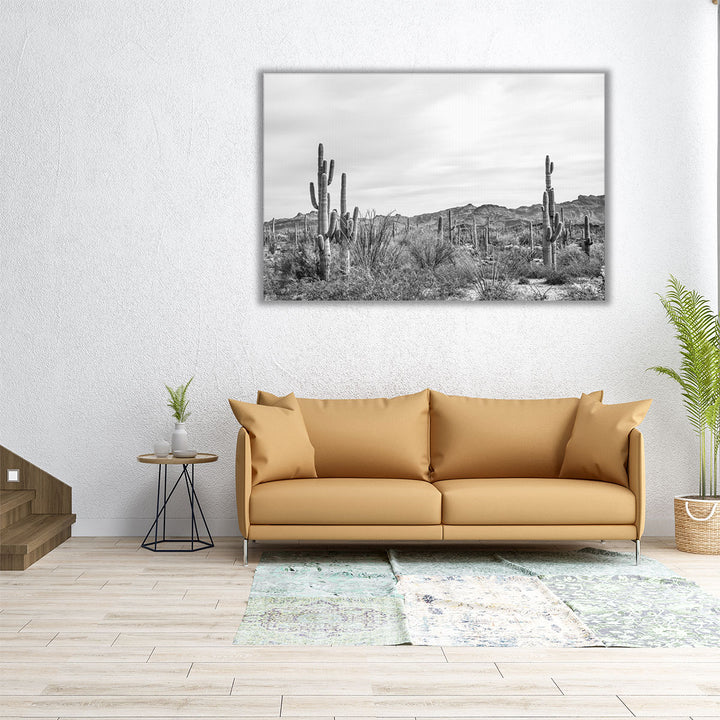 Sonoran Wonderland Black and White - Canvas Print Wall Art