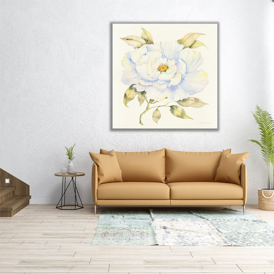 Peony - Canvas Print Wall Art