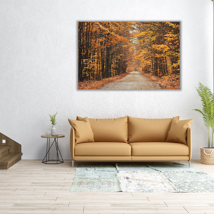 Autumn Country Road - Canvas Print Wall Art