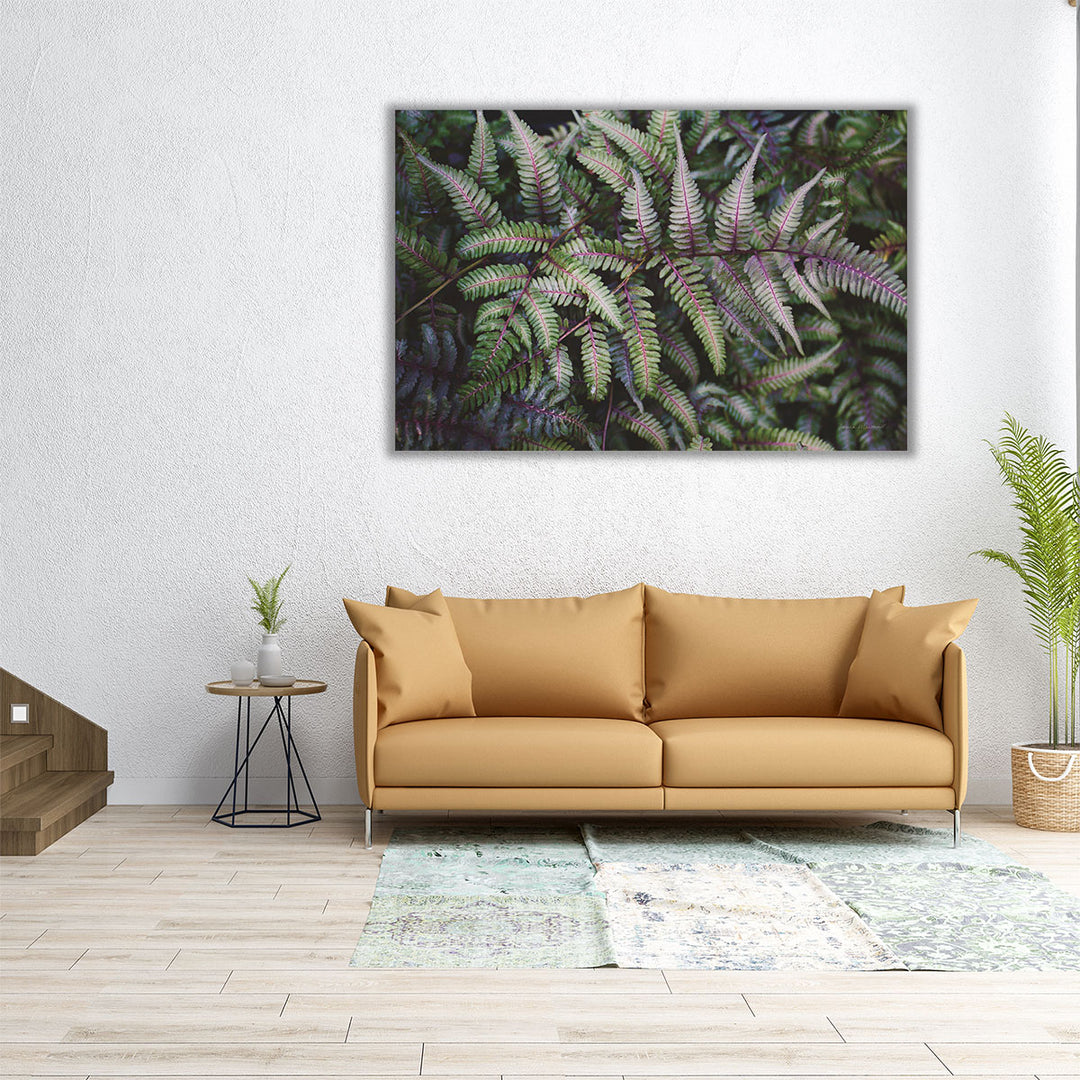 Funky Ferns IV - Canvas Print Wall Art