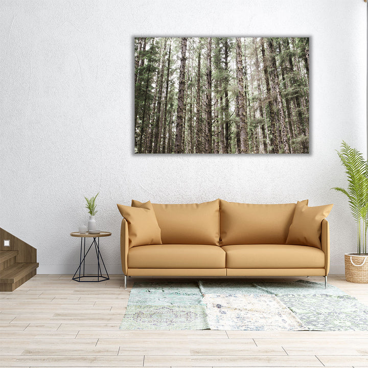 Mossy Pines - Canvas Print Wall Art