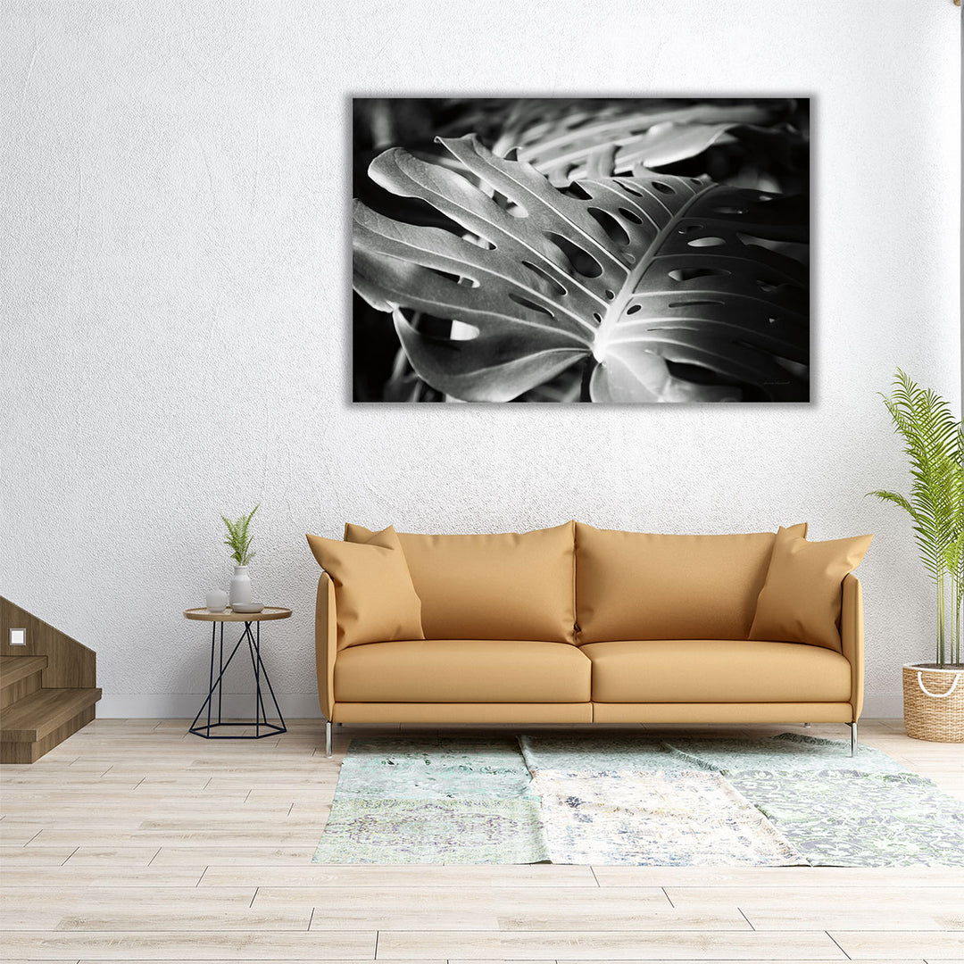 philodendron giclée canvas print 52 x 52 Philodendron Black and White
