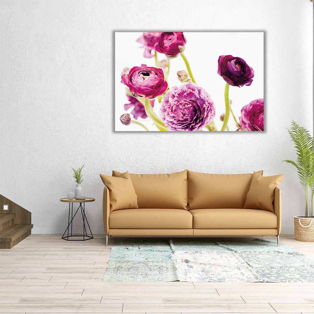 Spring Ranunculus IV - Canvas Print Wall Art