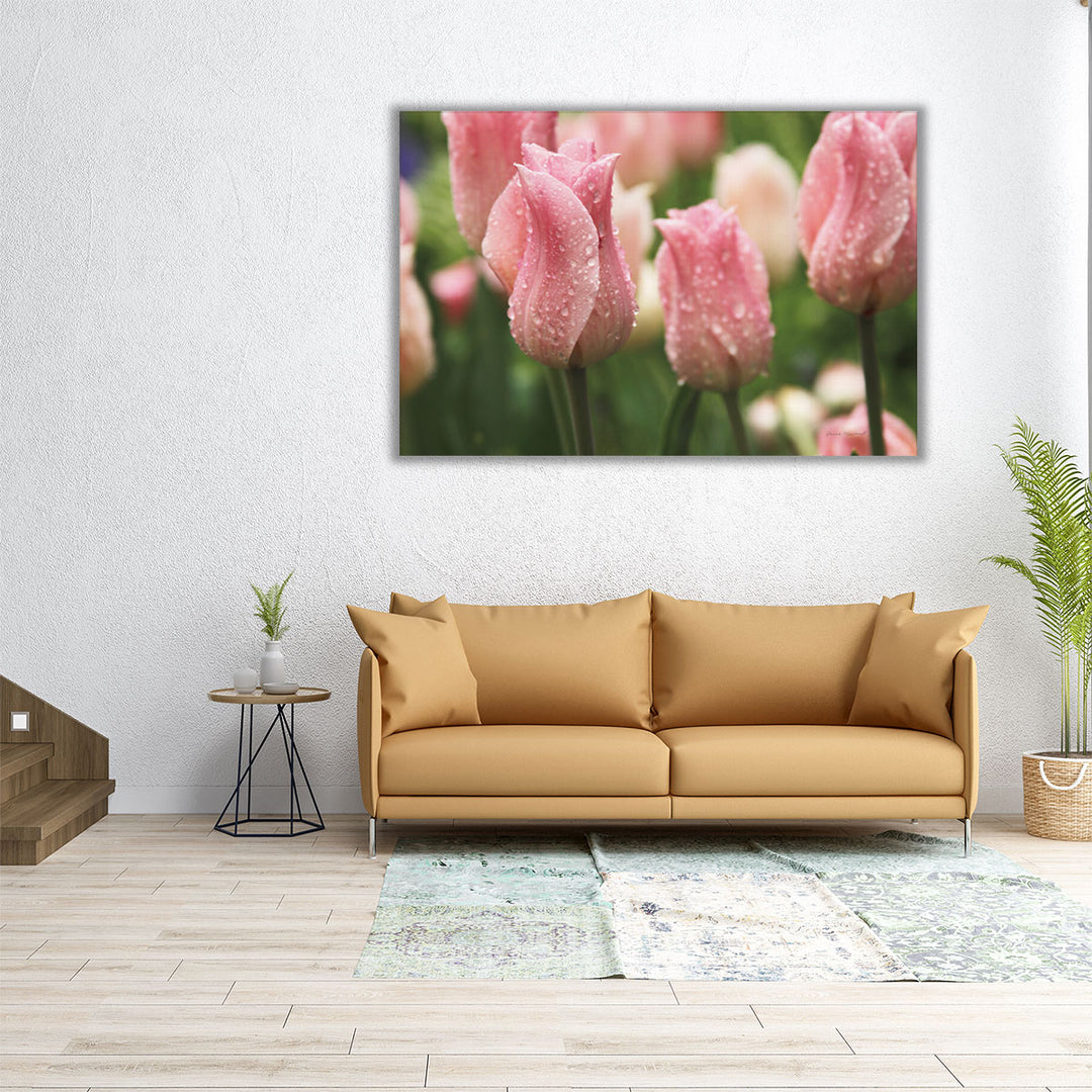 Tulips after the Rain - Canvas Print Wall Art