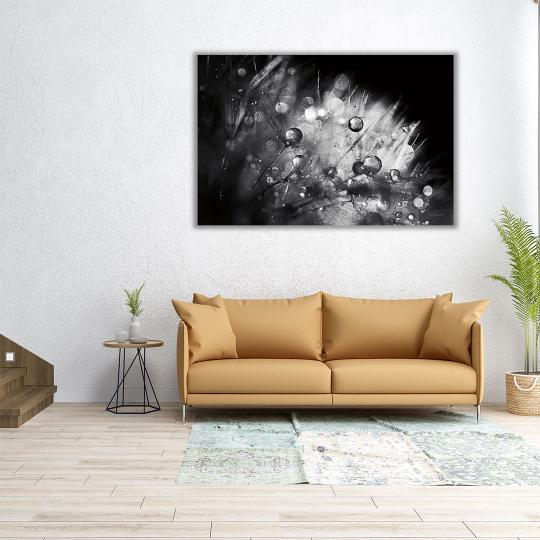 Dandelion Abstract I Black and White - Canvas Print Wall Art