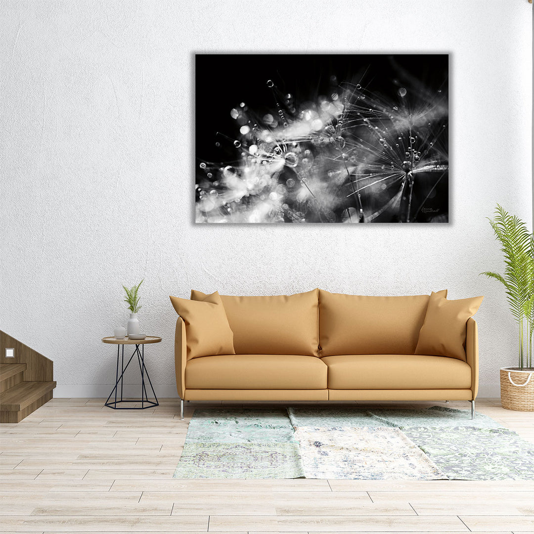 Dandelion Abstract II Black and White - Canvas Print Wall Art