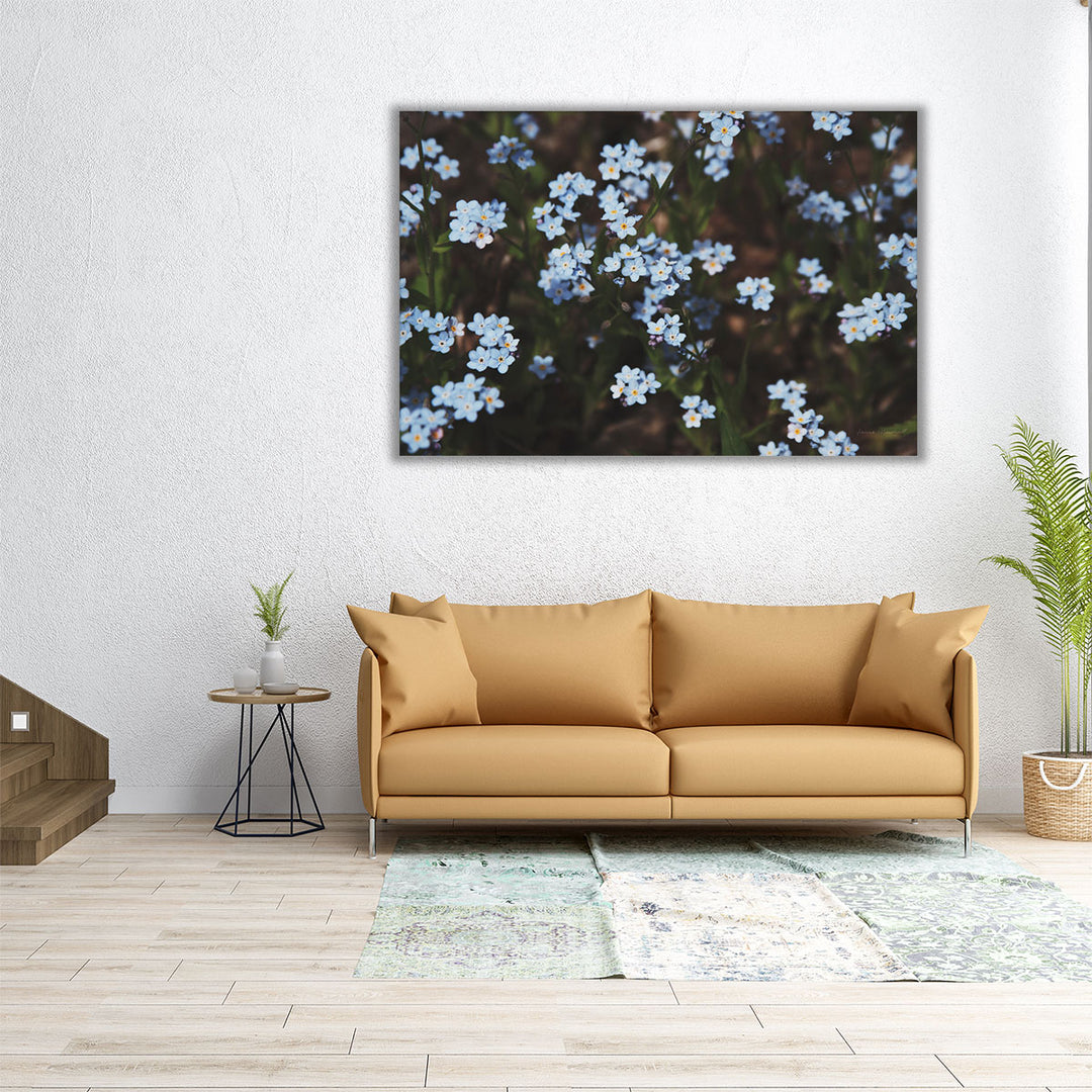 Forget Me Nots I - Canvas Print Wall Art