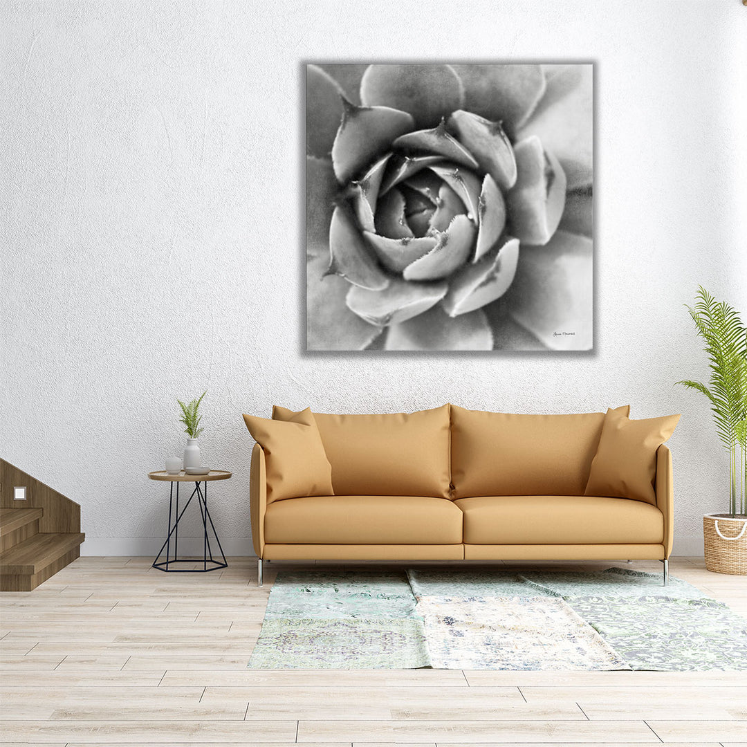 Garden Succulent II - Canvas Print Wall Art