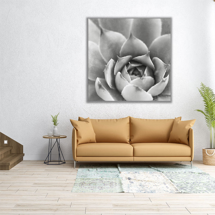 Garden Succulent III - Canvas Print Wall Art