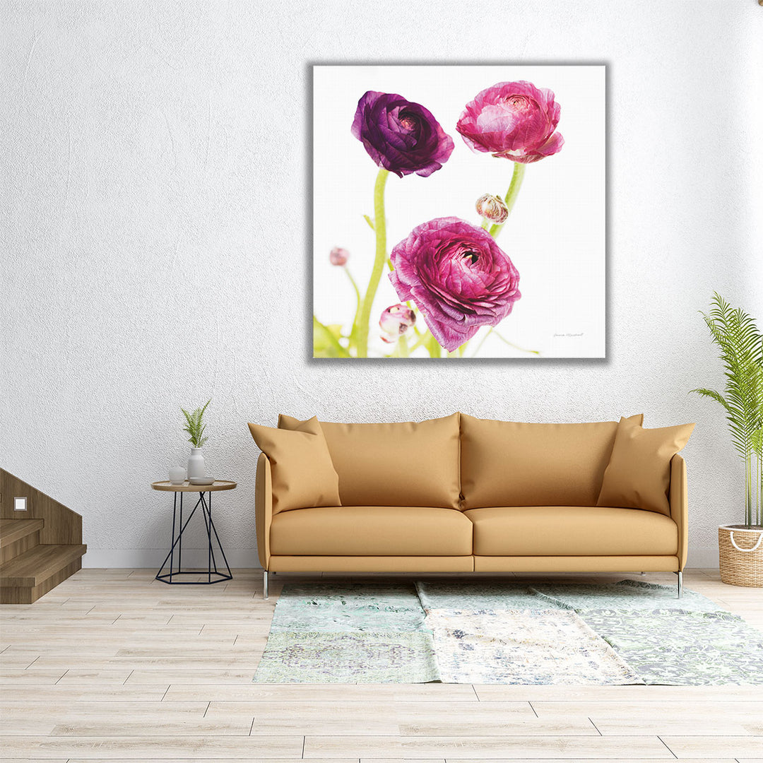 Spring Ranunculus I - Canvas Print Wall Art