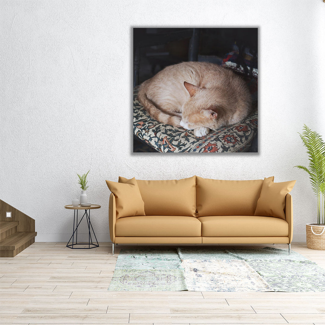 Sleepy Afternoon - Canvas Print Wall Art