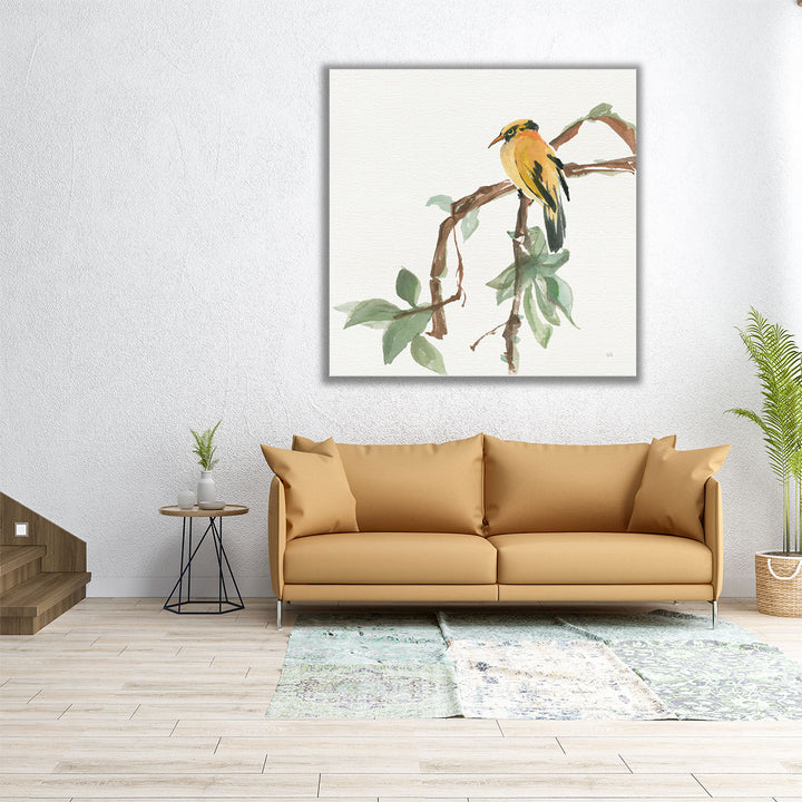 Black Napped Oriole - Canvas Print Wall Art