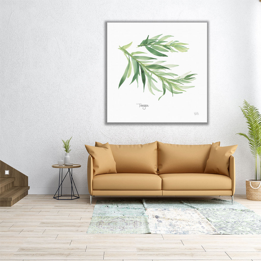 Tarragon - Canvas Print Wall Art