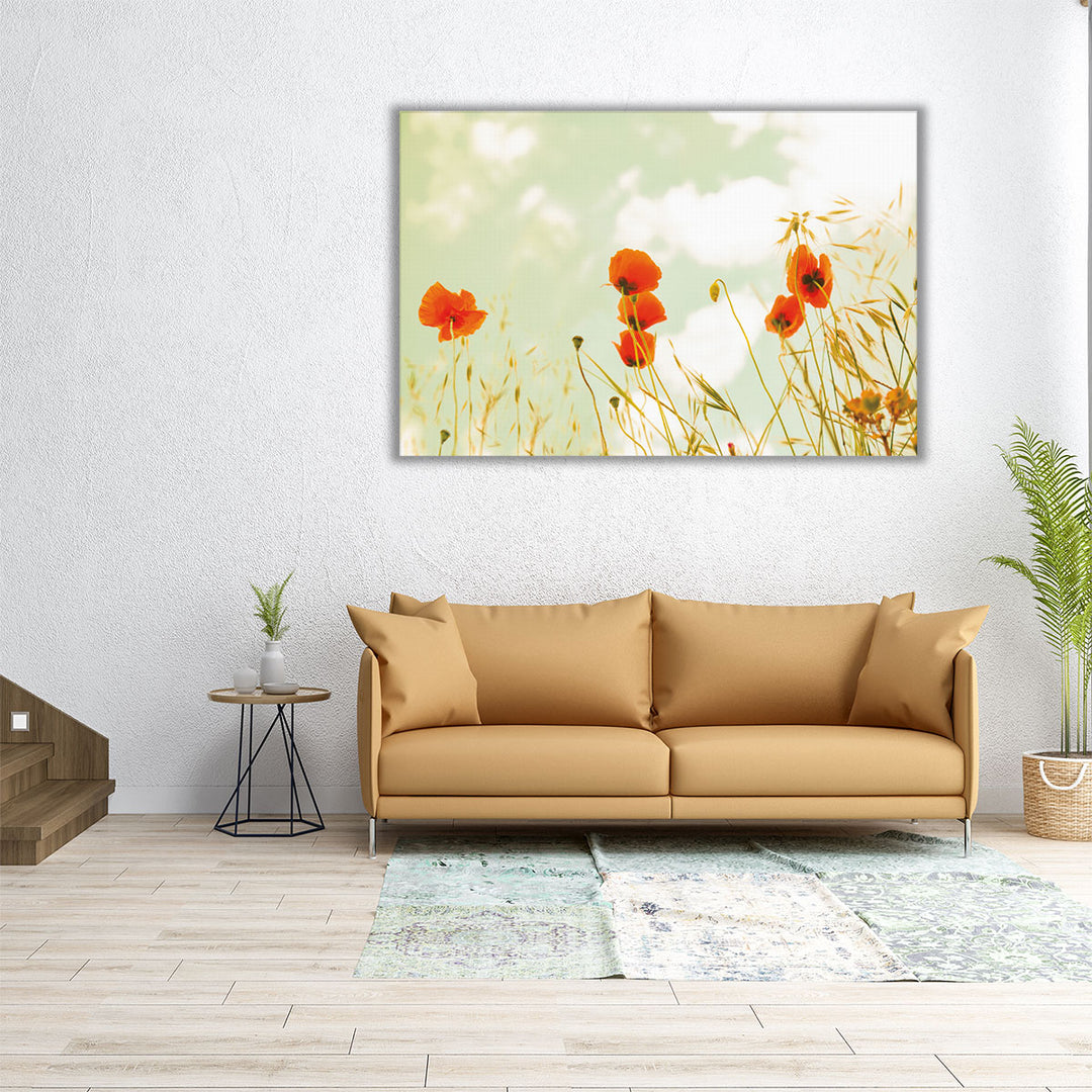 Poppies and Sky - Canvas Print Wall Art