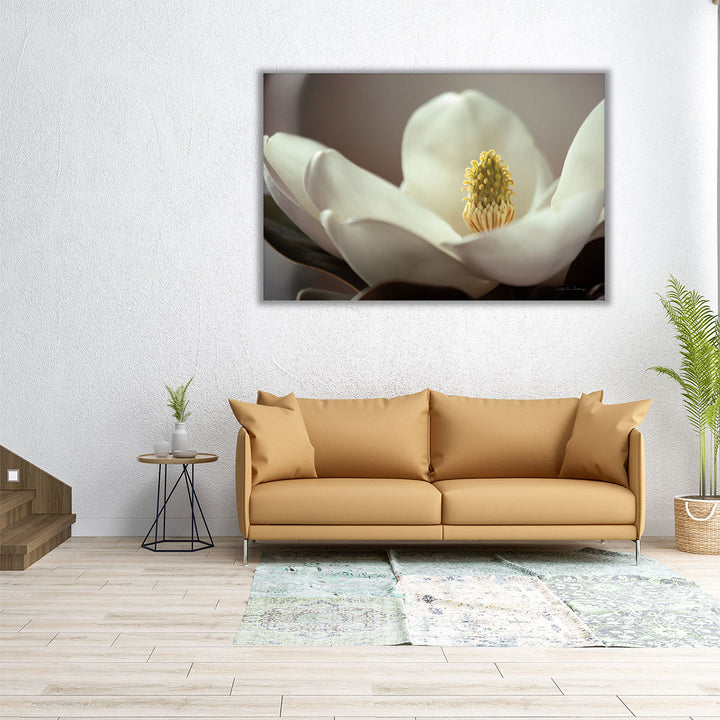 Magnolia Detail II - Canvas Print Wall Art