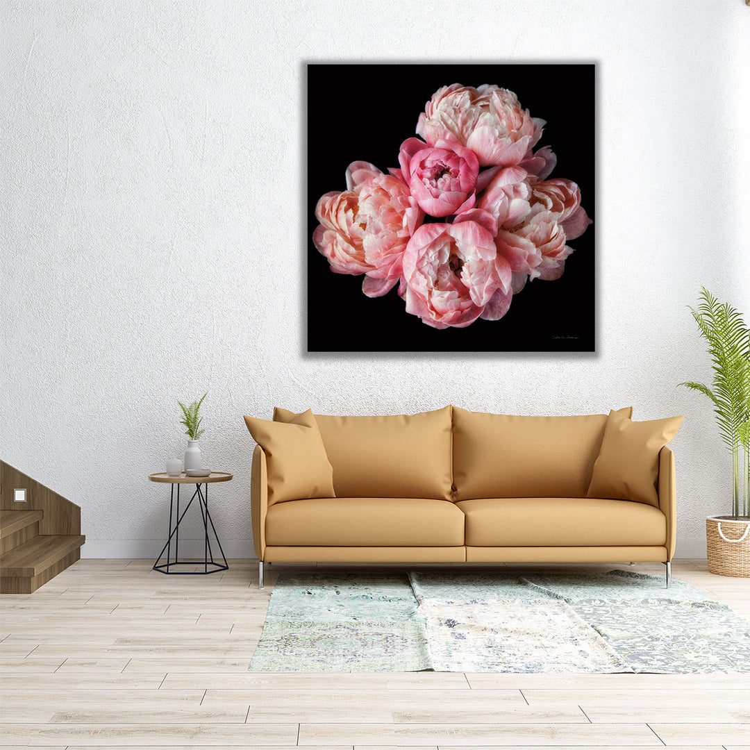 Coral Peonies III - Canvas Print Wall Art