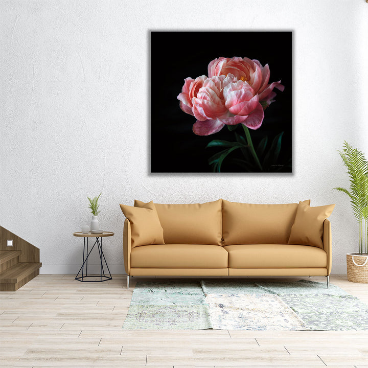 Coral Peonies V - Canvas Print Wall Art